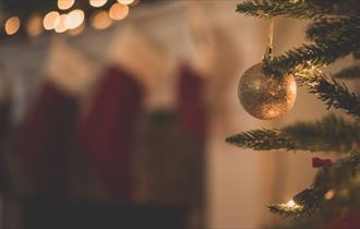 Christmas tree, Christmas parties at The Fishbourne, Isle of Wight