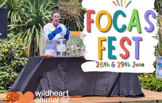 FOCAS Fest