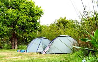 Isle of Wight, Accommodation, Camping, Corve Camp, Chale, 2 tents