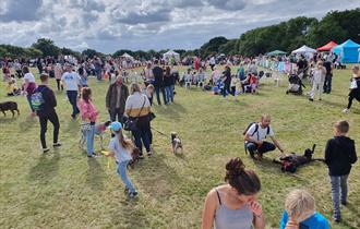 Families with their dogs at Isle of Wight Dog Festival, what's on, event