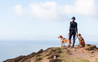 Two dogs with their owner on the cliff at Compton looking out to sea, Trotting Dog, Isle of Wight, activities, walking, running, dog-friendly trails