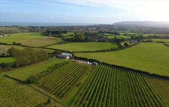 Isle of Wight, Attraction, Adgestone Vineyard, Ariel View of Vineyard