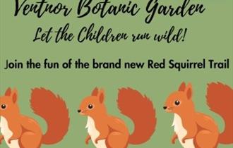 Red Squirrels on the trail poster, February half term event at Ventnor Botanic Garden, children's activities, what's on, Isle of Wight