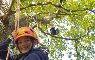 Girl climbing tree at Goodleaf Tree Climbing, Cowes Week event, Cowes, Isle of Wight, what's on, activities, family fun