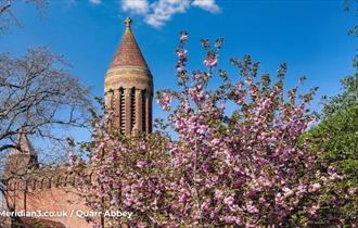 Grounds at Quarr Abbey, Ryde, Isle of Wight, music event, concert, performance, what's on, event
