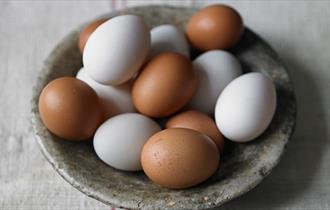 Image of free range brown and white eggs, Hazelgrove Farm Egg, Ashey, Ryde, Isle of Wight