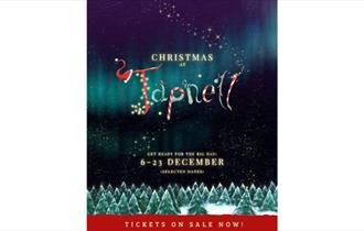 Christmas at Tapnell Farm Park, What's On, children's event
