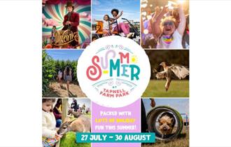 Summer fun poster at Tapnell Farm Park, Yarmouth, events, things to do