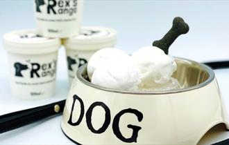 Rex's Range ice cream in a dog bowl, local producers, dog friendly, Isle of Wight, local produce, let's by local