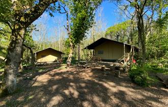 Outside view of two safari tents at Wight Classic Camping, Isle of Wight, glamping, unique place to stay