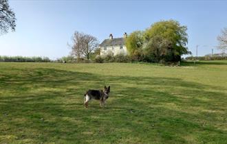 Outside grounds at Somerton Farm Holiday Cottage, self-catering, Cowes