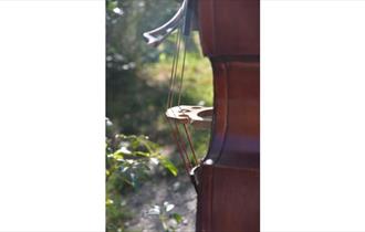 Cello within the countryside, The Great Swing Picnic at The Lawn Bar, Isle of Wight, music, food, outdoor event, what's on