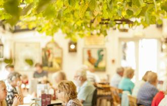 Isle of Wight - Arreton - Public House - The Dairyman's Daughter - Vines in Bar