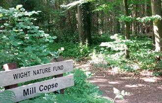 Mill Copse in Yarmouth, Isle of Wight UNESCO Biosphere, guided walk, scavenger hunt, family fun activities, nature
