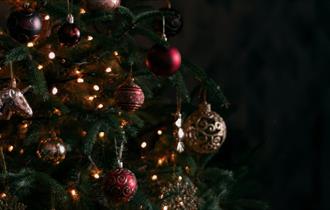 Christmas tree, festive stays at The Wight, Christmas, Twixmas, New Year, event, what's on, Isle of Wight