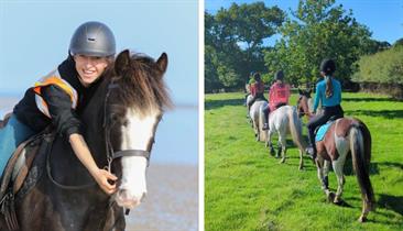 Fairfields Farm Riding School & Livery - Ryde - Visit Isle Of Wight