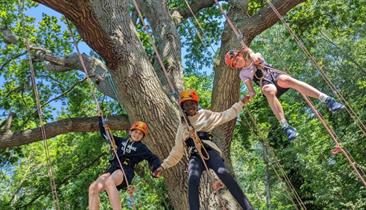 Goodleaf Tree Climbing - RYDE - Visit Isle Of Wight