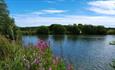 Lake at at Four Lakes Retreat, self catering, lakeside retreat, Isle of Wight