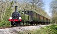 Steam train on the tracks surrounded by countryside, Isle of Wight Steam Railway, Havenstreet, Things to Do