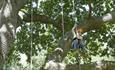 Child climbing tree smiling, Isle of Wight, Things to Do, Tree climbing, Appley Park, Ryde, Goodleaf, Tree Hammock