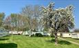 Open space surrounding the caravans at Appuldurcombe Gardens Holiday Park, Wroxall, holiday park