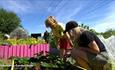 Families gardening at Community Garden Ryde, Isle of Wight Biosphere Festival, learning, family activities, art, nature, island wide, local events, wh