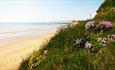 Sunny day at Brook Beach, Isle of Wight, Things to Do