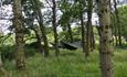 Isle of Wight, Camp Wight, Accommodation, Image of two hammock tents in bright woodland setting