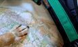 Dog paw on a map, Trotting Dog, Isle of Wight, activities, walking, running, dog-friendly trails