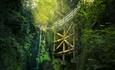 Waterfall at Shanklin Chine, Things to Do, Isle of Wight