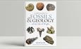 Isle of Wight Fossils and Geology Field Guide, dinosaur fossils, family friendly, things to do, activities