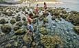 Children exploring the rocks at Freshwater Bay Beach, Isle of Wight, Things to Do