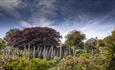 Ventnor Botanic Garden, Ventnor, Things to Do, Outdoor space