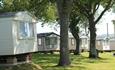 View of caravans within the trees at Cheverton Copse Holiday Park, Sandown