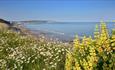 View of beach from Lake Cliff Path, Isle of Wight, Things to Do