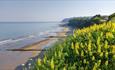 View of beach from Lake Cliff Path, Isle of Wight, Things to Do