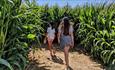 Children entering the maize maze at Tapnell Farm Park, Yarmouth, events, things to do