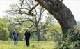 Isle of Wight, Things to do, Guided Walk, National Trust, Newtown Nature Reserve.