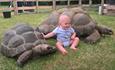 Tortoises and baby at the Royal Isle of Wight County Show  2023 - What's On, events