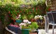 Isle of Wight, Accommodation, Self Catering, Seaside Holiday Home terrace flowers
