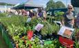 Isle of Wight, Things to do, Northwood House, Cowes, Spring Art and Garden Fair, Good Friday and Easter Saturday, Plants