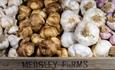 Variety of garlic bulbs at The Garlic Farm, local produce, food and drink, shop, restaurant, Isle of Wight