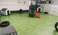 Inside dog play area, Wright Zone Doggy Care, dog friendly, dog day care, Isle of Wight