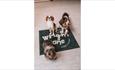 Three dogs sitting on the Wright Zone rug, Wright Zone Doggy Care, dog friendly, dog day care, Isle of Wight