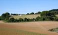 Campsite at Downsview CL within countryside, touring and camping, Isle of Wight