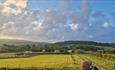 Campsite at Downsview CL with rolling countryside behind, touring and camping, Isle of Wight