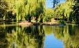 Fishing lake at Adgestone Campsite, Isle of Wight, camping, touring, dog friendly, family friendly
