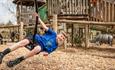 Boy swinging on the zip wire at the Botswana Play Area at Robin Hill Adventure Park, Newport, Isle of Wight, attraction, family, children activities