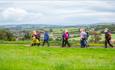 Group of walkers in the countryside on the Isle of Wight, Isle of Wight Walking Festival, Spring event, Autumn event, what's on, things to do