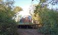 Isle of Wight, Camp Wight, Accommodation, Glamping Dome in woodland setting